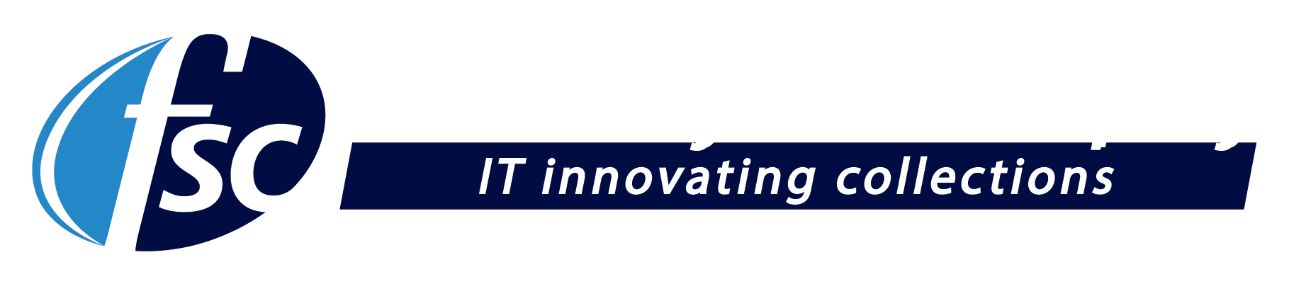 Financial Systems Company logo