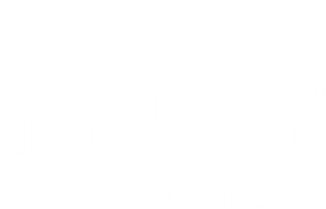 yashvitours logo