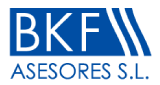 BKF Asesores logo