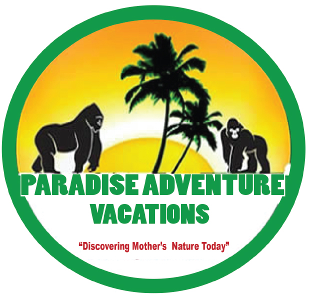 Paradise Adventure Vacations logo