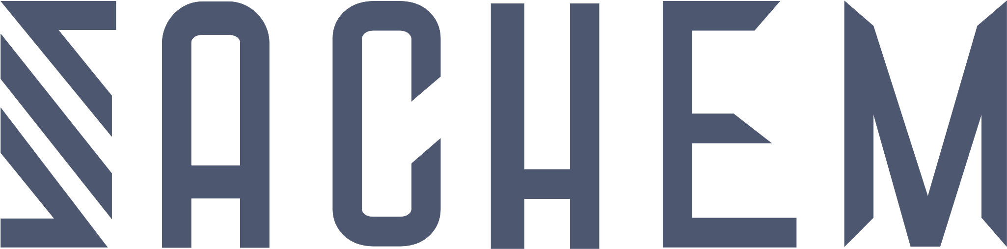 Sachem Digital Marketing Company in Thane logo