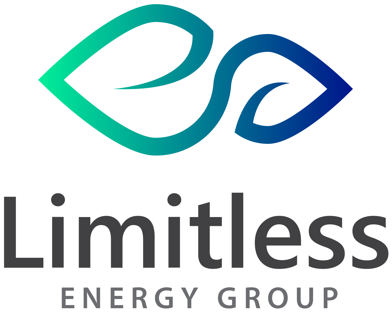 Ооо «энерджи коннект» сайт. Логотип energy group. Renewable energy group logo. Wec логотип. Energy group.