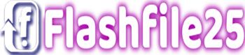 Flashfile25 logo